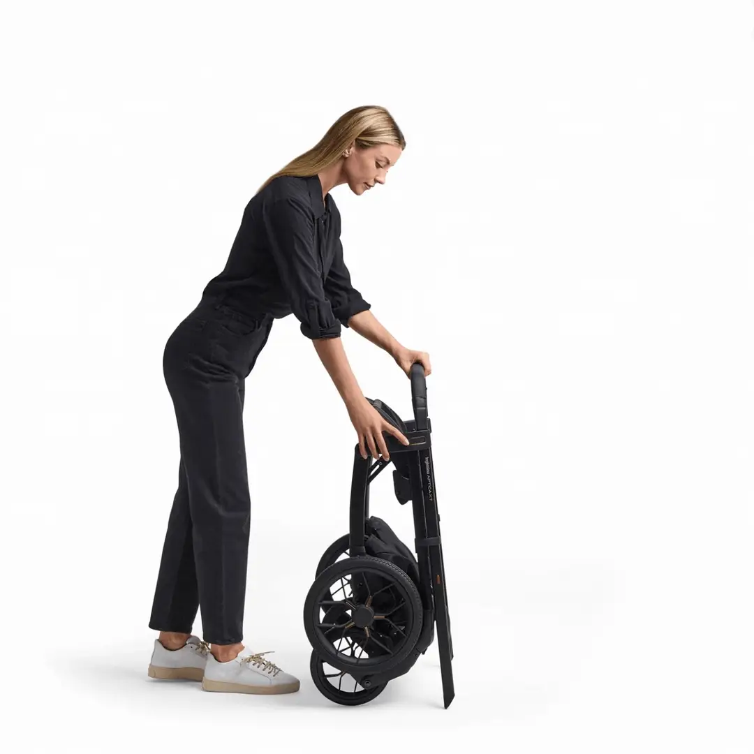Inglesina Aptica XT Stroller & Bassinet+Stand - Image 4
