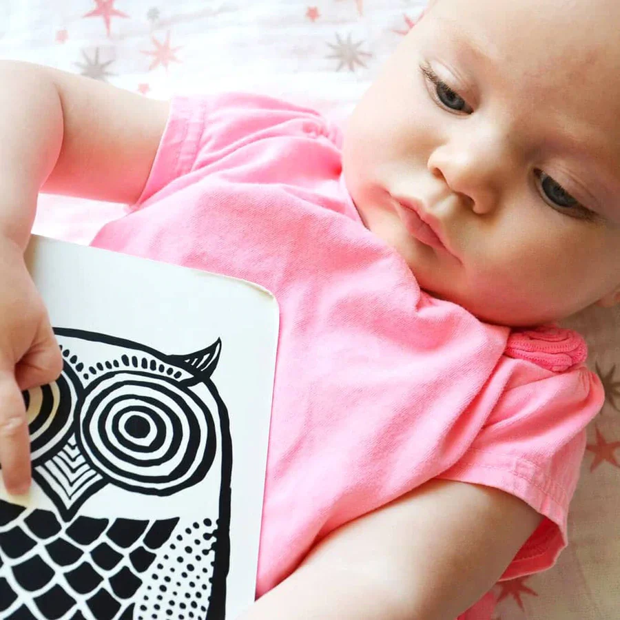 Wee Gallery Art Cards for Baby - Pets Collection - Image 4